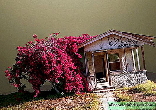 Lonely California: um fotógrafo tira fotos dos cantos esquecidos do estado ensolarado