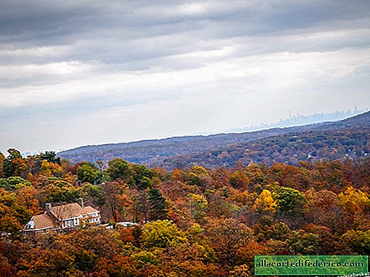 Herbst in New Jersey. Was könnte schöner sein?