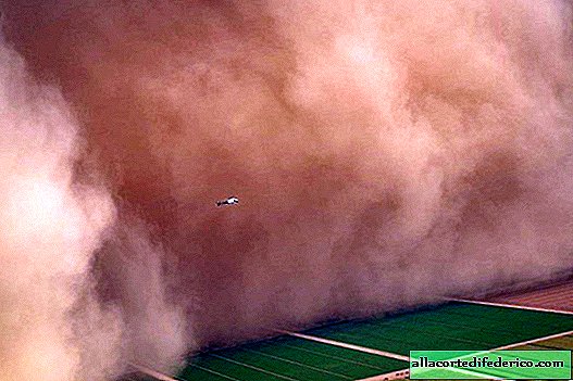 Prachtige foto's van een enorme zandstorm vanuit een helikopter