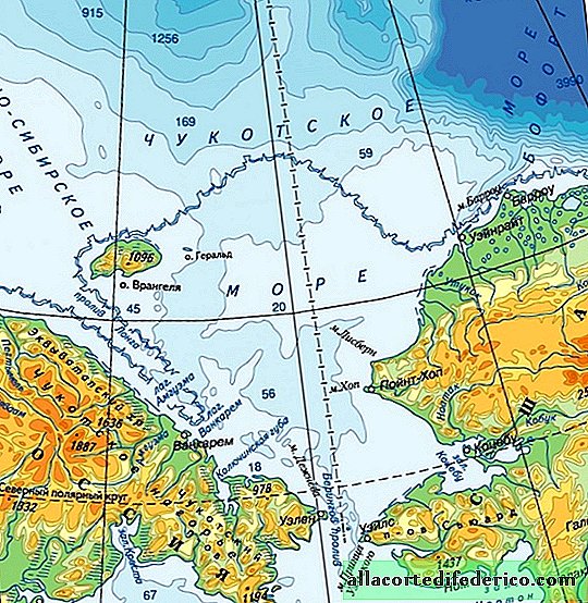 Το νησί Wrangel είναι μια προστατευόμενη γη όπου γεννιούνται τα πιο λευκά κύβου στον κόσμο