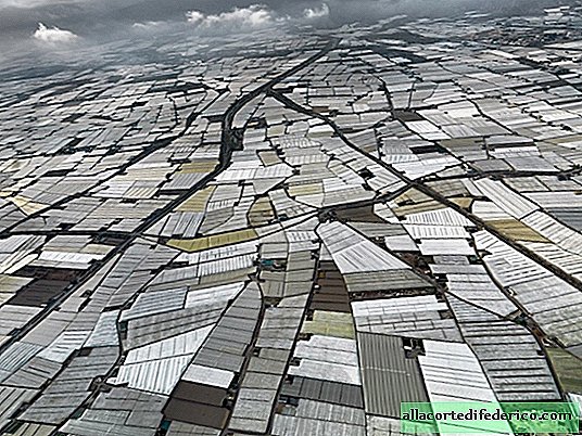 Vegetable paradise in Almeria: the largest complex of greenhouses in Europe