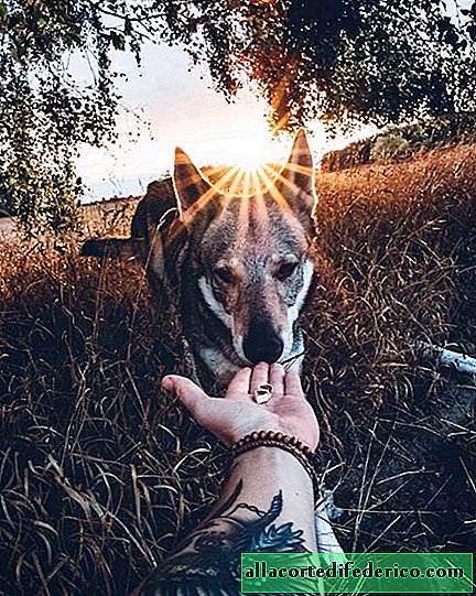 The guy takes his dog on all trips, and it's a lot cooler than regular selfies.