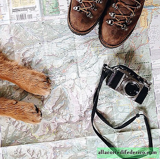 Colorado Guy Proves Dogs Are Best Travel Companions