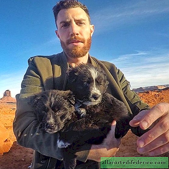 A guy travels around the USA with his puppies he found in the desert