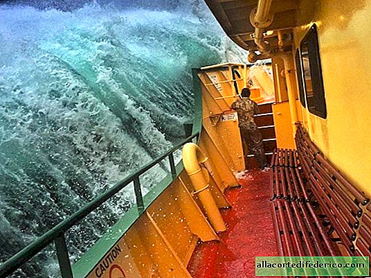 The guy took the most viral and dramatic shot on the ferry