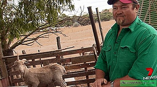 Der Typ rettete das Lamm von der Farm vor dem Tod, weil er wie ein echtes Einhorn aussah