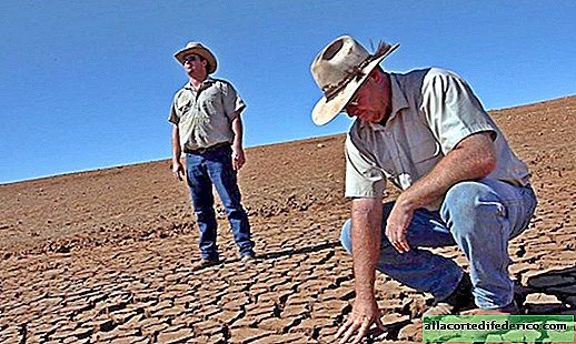Sad climatic record: Australia continues the worst drought of the century