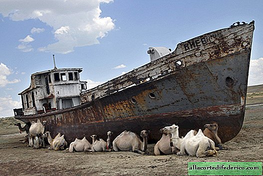 Trocknung des Aralsees. Eine der schlimmsten Umweltkatastrophen unserer Zeit!