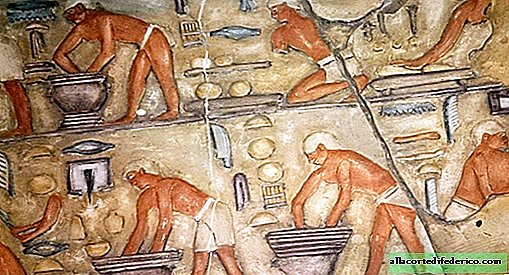 Cerveza y pan: comida favorita de los antiguos egipcios.