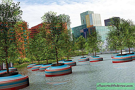 Flytende skog i Rotterdam er en fantasi som blir realisert