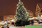 ¿Por qué los árboles de Navidad daneses son considerados los mejores en el mercado de Año Nuevo en Europa?