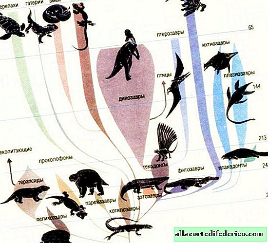 لماذا انقرضت الديناصورات ، ونجحت التماسيح وما زالت تزدهر
