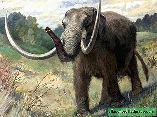 Waarom prehistorische dieren zo enorm waren