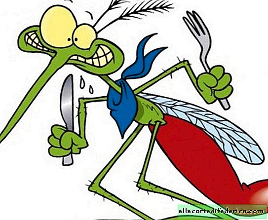 Warum beißen manche Mücken häufiger als andere?