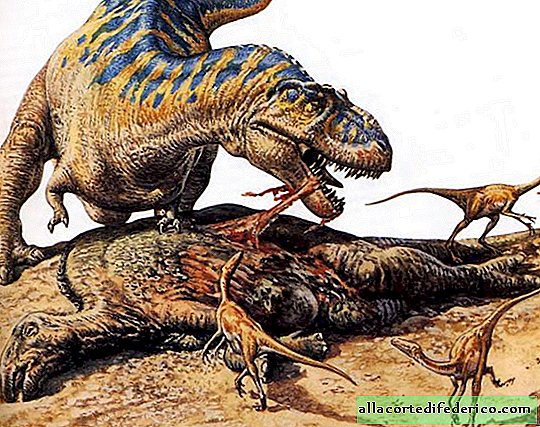 Waarom tyrannosauriërs zulke kleine voorpoten hadden