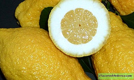 Miért volt az ókori Rómában a citrusfélék az arany súlya?