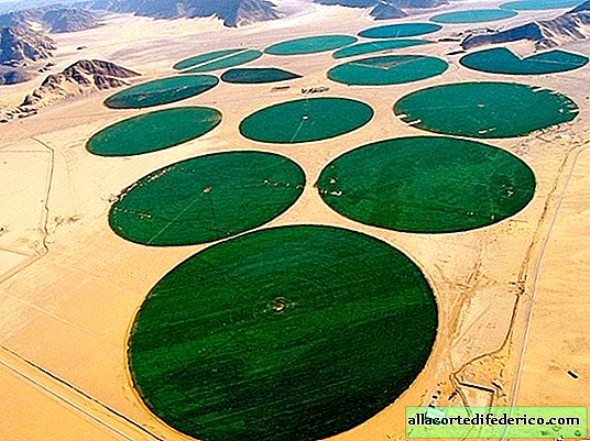 O deserto do Saara possui as maiores reservas subterrâneas de água doce do mundo.