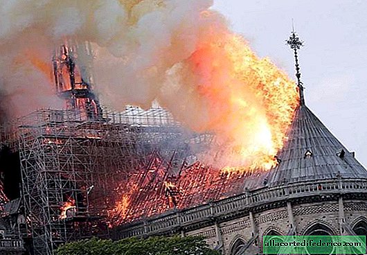 Blazing "heart" of Paris: Notre Dame Cathedral survived the fire