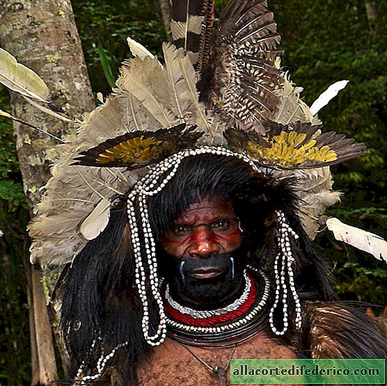 Kehidupan menakjubkan orang Papua dari Papua. Anda belum melihat orang-orang seperti itu!