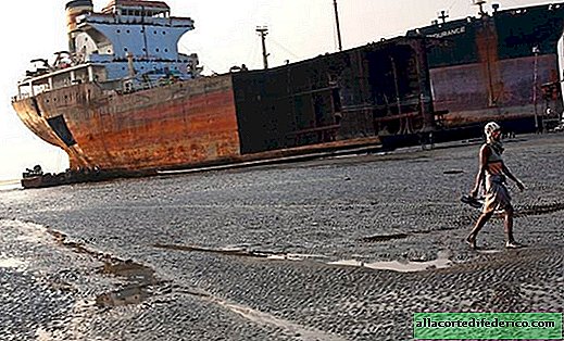Letzter Zielhafen: Ablegen stillgelegter Schiffe aus aller Welt