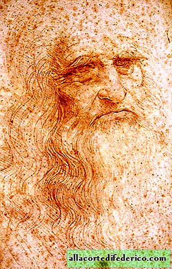 The last mystery of da Vinci: whose remains in truth lie under the stove with his name