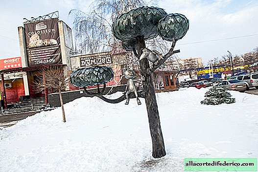 Walk around Voronezh