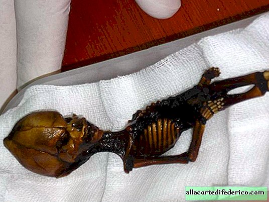 Decrypted by the tiny alien genome: it turned out to be a man