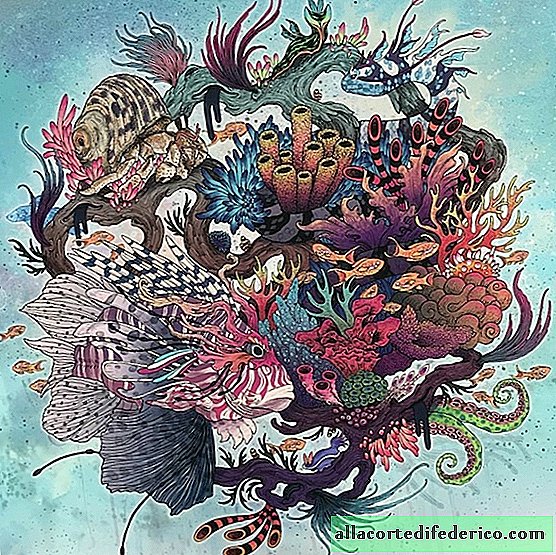 Ravnotežje: oceanske risbe, ki povedo, kako hitro izumre podvodni svet