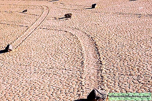 Svaret på fenomenet steinbevegelse i Death Valley: stemmer fra tvilere er allerede hørt