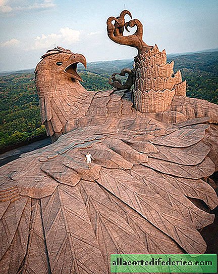 A maior escultura de pássaro do mundo: o novo marco épico da Índia
