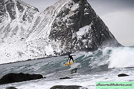 La escuela de surf más dura y más septentrional del mundo.