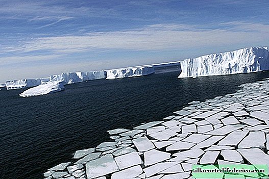 Največja ledena gora na svetu se topi na dveh straneh: kam bo vodila