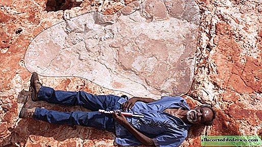 The world's largest dinosaur footprint found in Australia