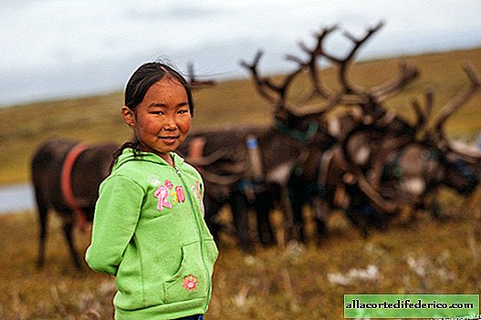Północ Rosji: życie pasterzy reniferów w tundrze