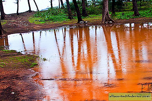Den regnfulde sæson i Goa, som det sker. Vores fotohistorie