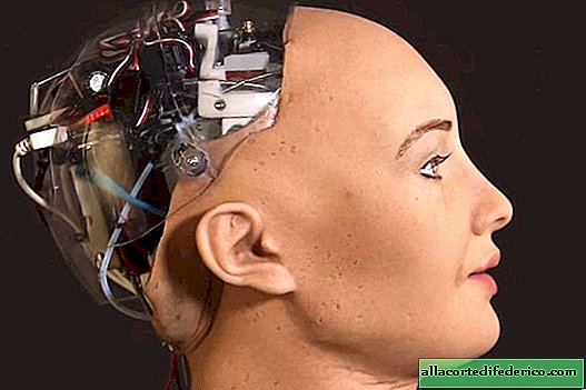 Sjokkerende uttalelser fra roboter: hva de sier om herredømme over mennesker