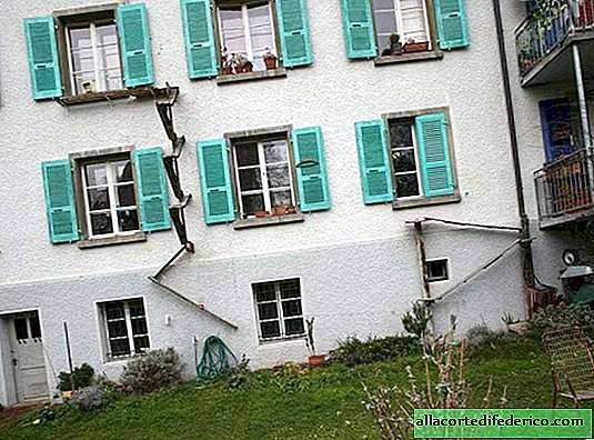 The Swiss love their cats so much that they came up with cat ladders for walking