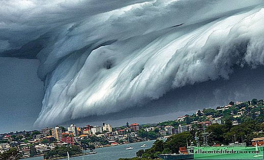 Sydney is covered by a cloudy tsunami! Awesome sight!