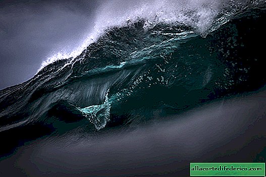 Sinfonía de olas: una foto inolvidable del océano por Ray Collins