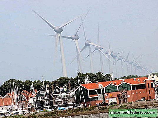 Síndrome do gerador de vento: cientistas alertam que moinhos de vento são perigosos para a saúde