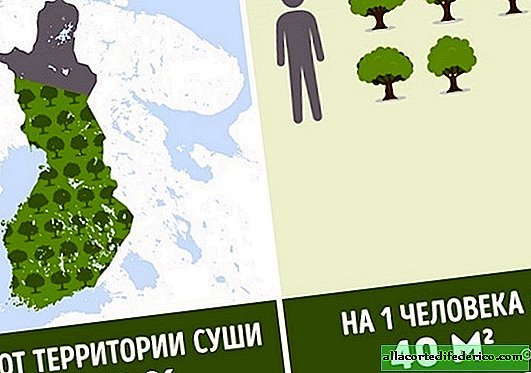 How many trees per capita in different countries of the world