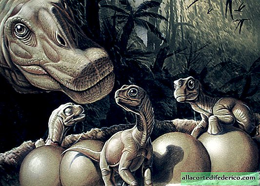 How many dinosaurs hatched eggs, and where does their extinction
