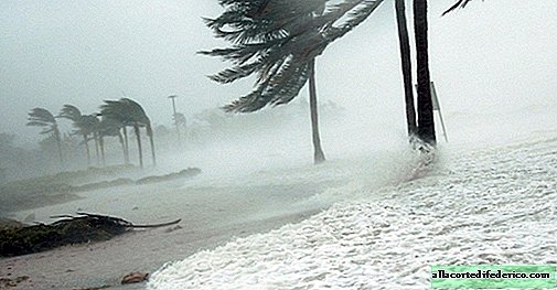Combien d'eau est contenu dans un ouragan