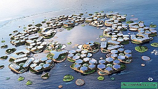Snart kommer vi att leva till sjöss: arkitekter presenterade en självförsörjande flytande stad