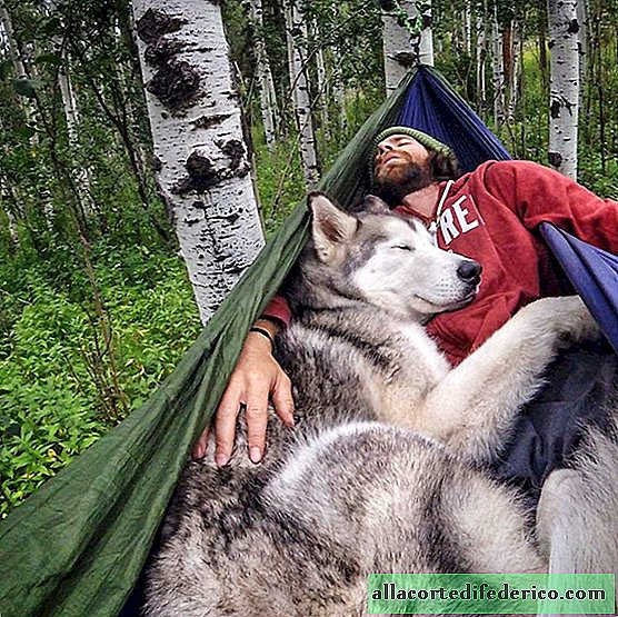 Pictures of the epic adventures of a guy and his dog circled the whole world. All pets dream of such an owner!