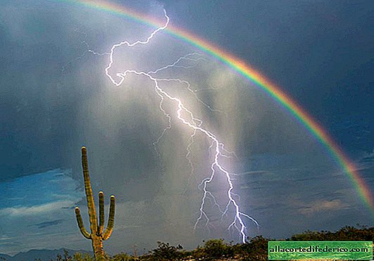 A shot of a lifetime: lightning and a rainbow in one frame