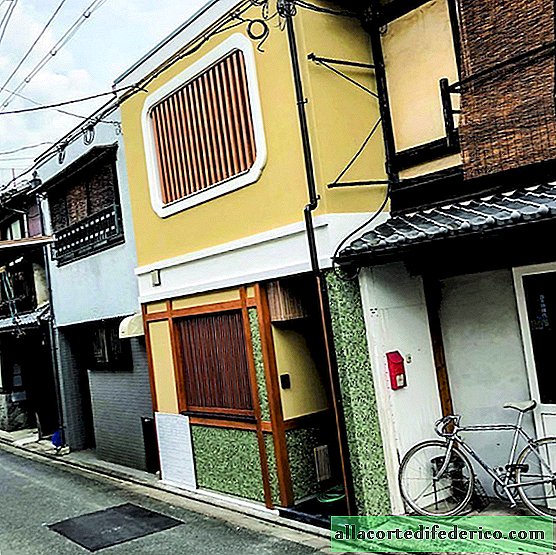خزانة كيوتو: التراث المعماري للعاصمة الثقافية لليابان