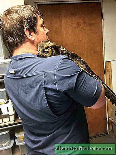 The owl recognized the man who had saved her and hugged him!