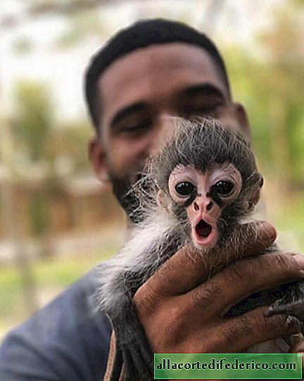 Tarzán moderno: un especialista en animales exóticos se ha convertido en la nueva estrella de Instagram