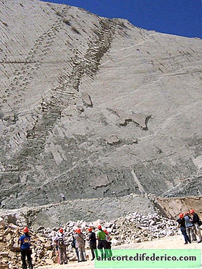 Mur de dinosaures en Bolivie: comment des traces d'anciens reptiles sont apparues sur un rocher escarpé